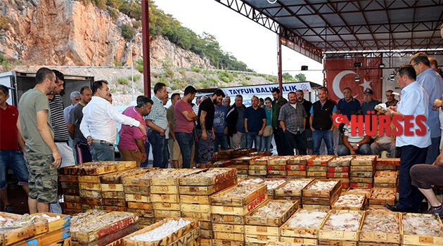 ANTALYALI BU MEVSİM BALIĞA DOYACAK