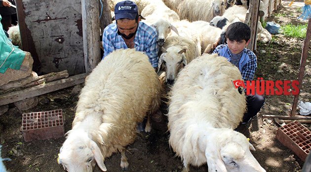 Antalyalılar köye dönmek istemiyor
