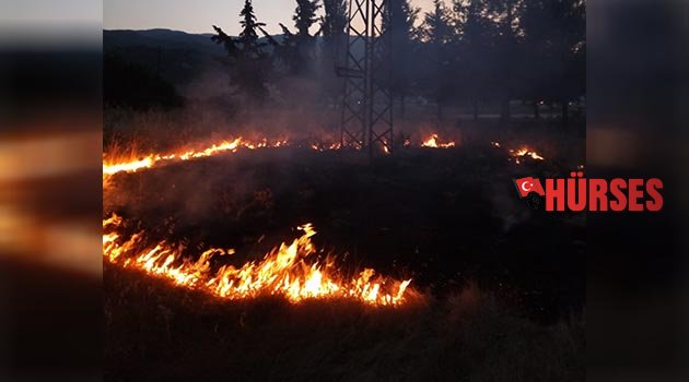 Arazi yangını korkuttu