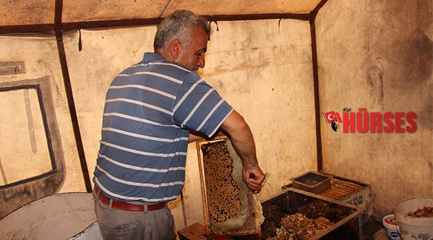 ARICILAR HASATTAN  SONRA GÖÇ EDECEK