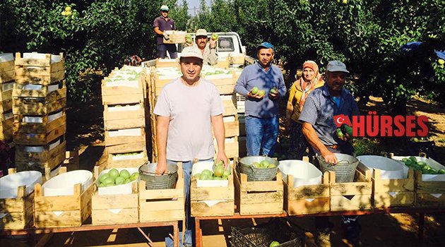 ARMUT HASADI BAŞLADI