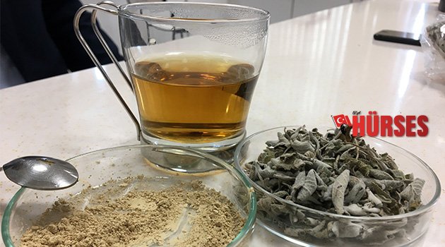 AÜ’den çığır açan adaçayı projesi