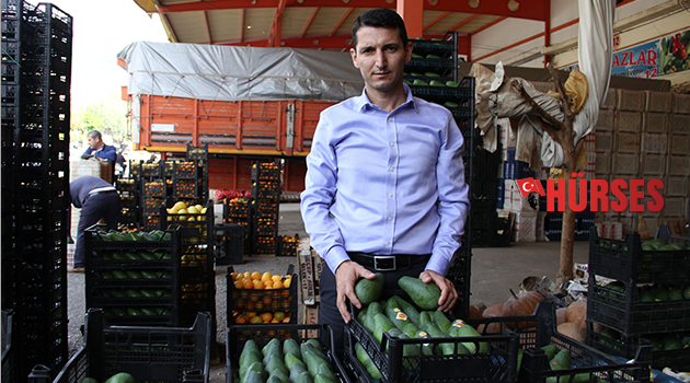 Avokado ihracatı başladı