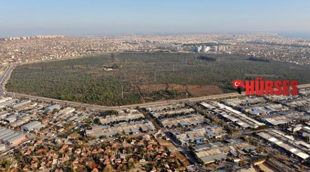 AVRUPA'NIN EN BÜYÜK BOTANİK PARKI HAZIRLANIYOR