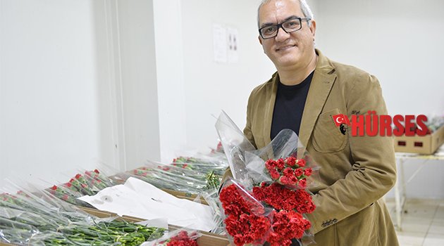 AVRUPA'YA 50 MİLYON DAL NOEL SÜSÜ İHRACI