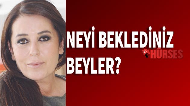 AYLA ÇEKİÇ'İN KALEMİNDEN