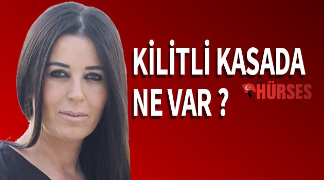 AYLA ÇEKİÇ'İN KALEMİNDEN