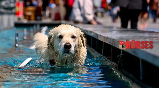 BAHARA PATİLİ KARŞILAMA