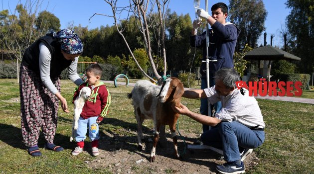 BARINAKTA MUTLU SON
