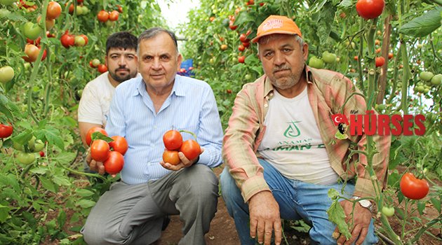 BAŞKANDAN DOMATES FİYATI İSYANI