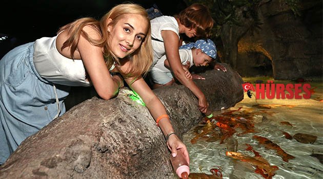 Biberonla besleniyorlar