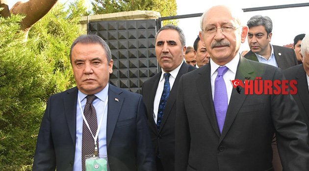 Böcek yakın takipte
