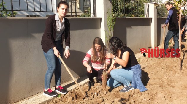 BURSLU KIZ ÖĞRENCİLER YURTLARINI AĞAÇLANDIRDI