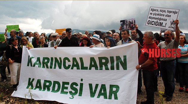 BÜYÜKNOHUTÇU ÇİFTİ İÇİN EYLEM