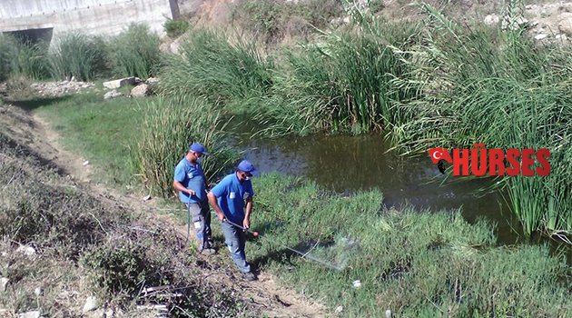 BÜYÜKŞEHİR HAŞERELERLE MÜCADELE BAŞLATTI
