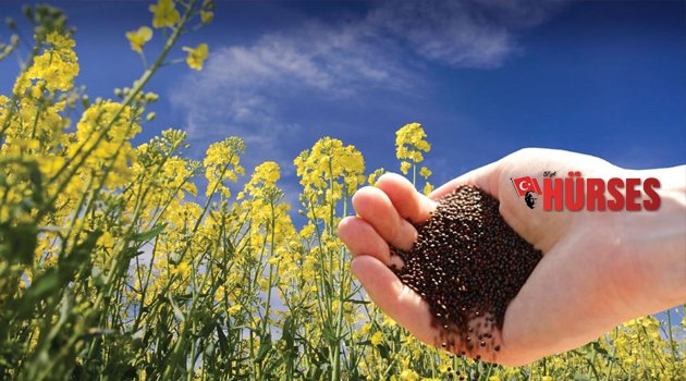 ÇANDIR’DAN KORKUTAN UYARI