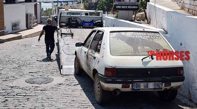 Çaresiz köpeği polisler kurtardı
