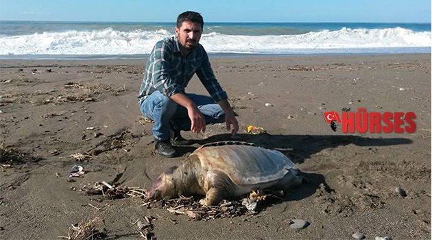 CARETTA CARETTA FIRTINAYA YENİK DÜŞTÜ
