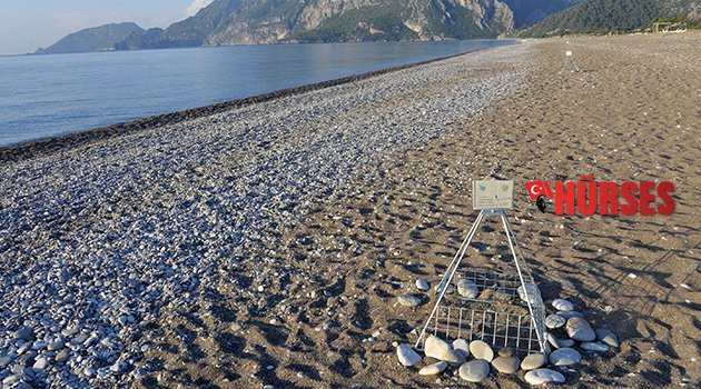 Caretta Caretta yuva sayısı arttı