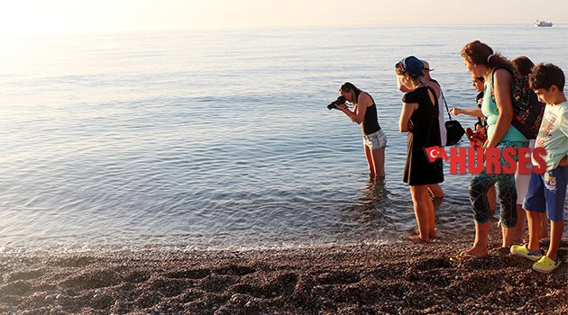 CARETTA YAVRULARI DENİZLE BULUŞUYOR
