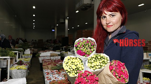 ÇİÇEKLER KRİZDEN ETKİLENMEDİ