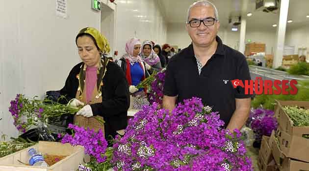 ÇİÇEKLERE, ANNELER  GÜNÜ BEREKETİ