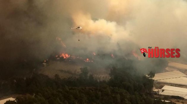 CİĞERLERİMİZ YANDI!