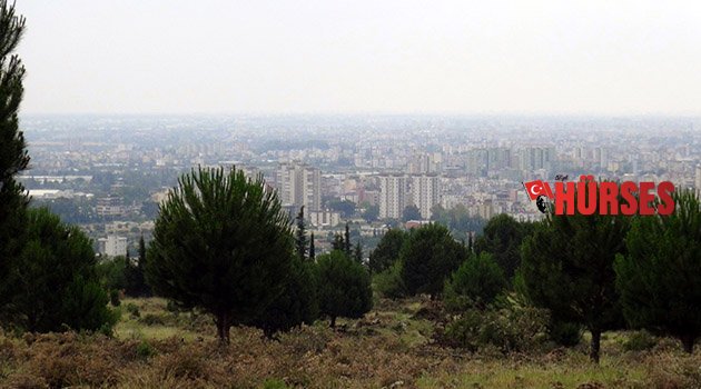 Cinayet ormanı