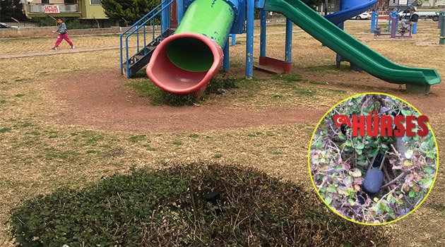 Çocuk parkında tüfek bulundu
