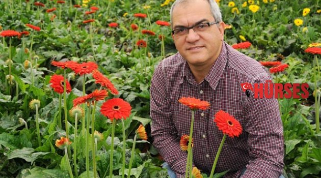 DOLARIN YÜKSELİŞİ ONLARA YARADI
