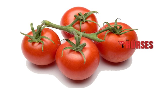 DOMATES HARİÇ TARIM ÜRÜNÜ YASAĞI KALKTI