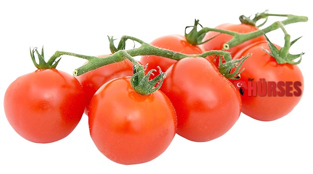 DOMATES İHRACATINDA ARTIŞ