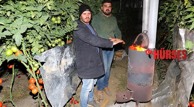 DOMATES ÜRETİCİSİ SERADA DON NÖBETİ TUTTU
