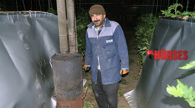DOMATESİ AMBARGODAN SONRA DON VURDU