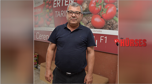Domatesin  fiyatı düşecek
