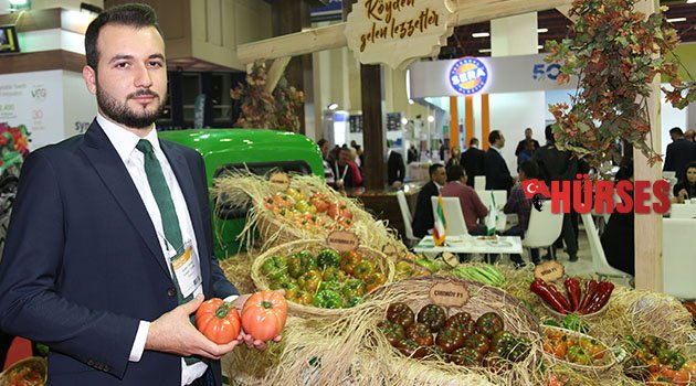 Domateste köy lezzeti