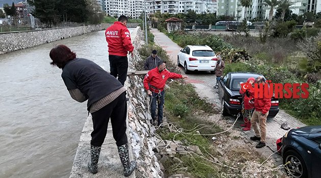 Drenaj kanalına düşen kedi kurtarıldı