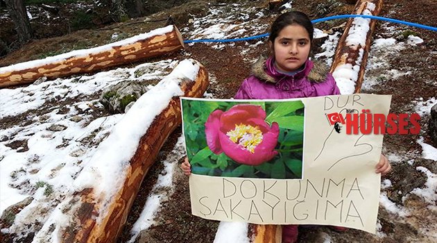 EKİZCE YAYLASI'NDA İŞLER KARIŞTI