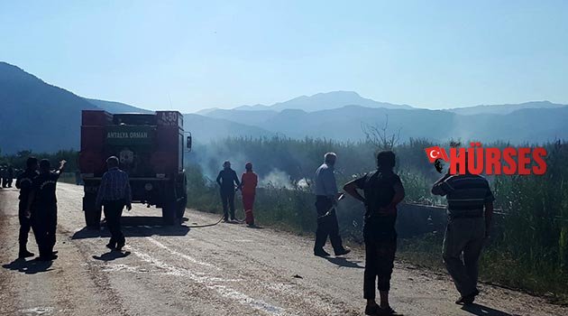 Elmalı'da arazi yangını