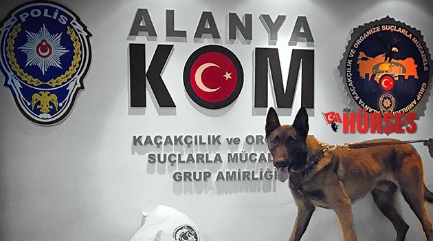 'ESCO'YA TAKILDILAR