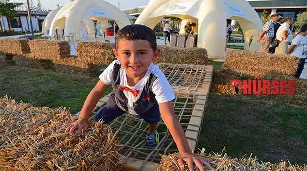 EXPO 2016’YA 'TOHUM PLATOSU'