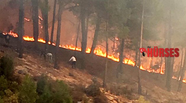 FİNİKE'DE ORMAN YANGINI