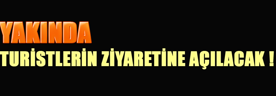 Gila Canavarı Da Var Çift Başlı Yılan Da Var