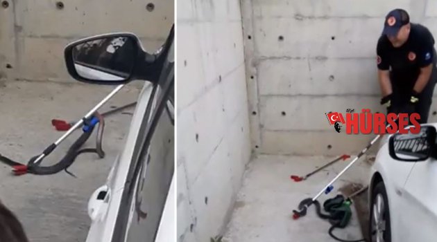 Hastane bahçesinde korkutan görüntü