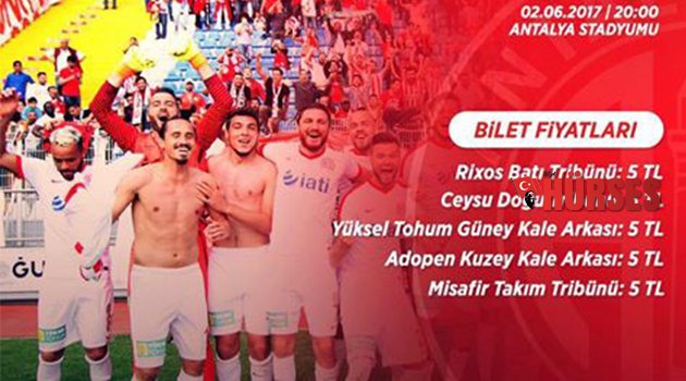 HAYDİ STADA