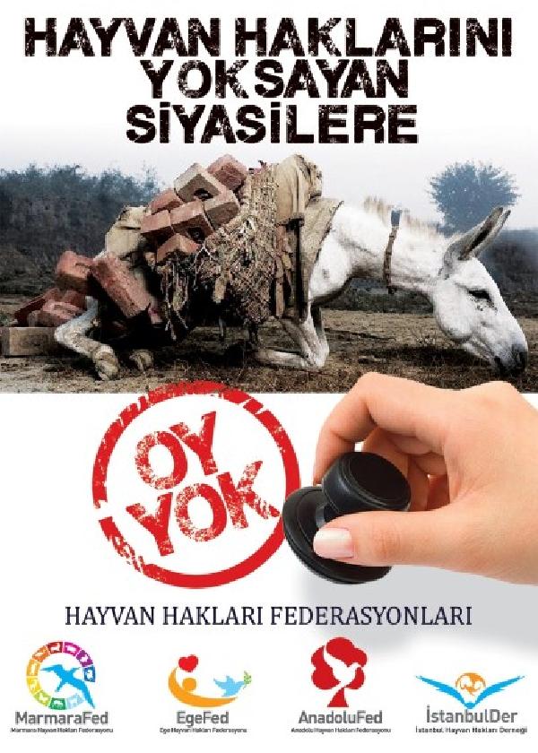 Hayvan Haklarını Yok Sayana Oy Yok