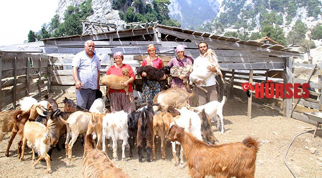 Hayvan üreticisine ziyaret