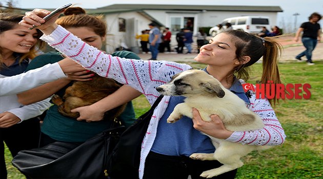HAYVANLAR İÇİN ÖDÜLLÜ YARIŞMA