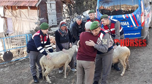 Hayvanları bulununca Jandarmaya sarıldı