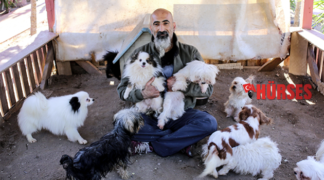 Hayvanseverlere köpek pansiyonu